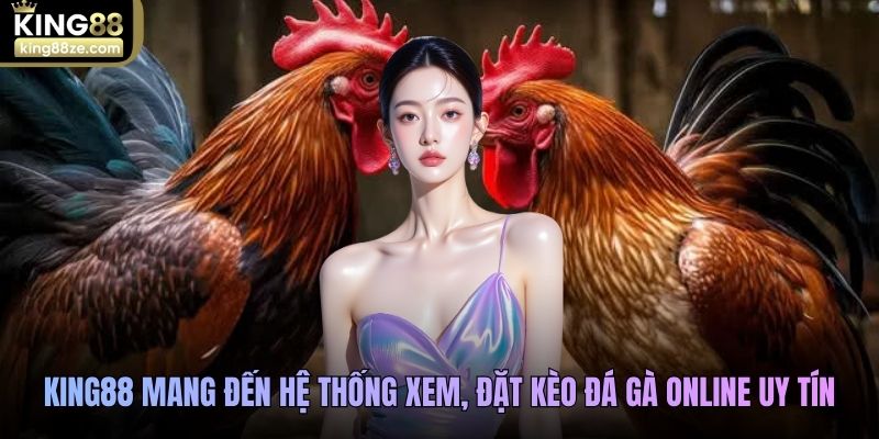King88 mang đến hệ thống xem, đặt kèo đá gà online uy tín