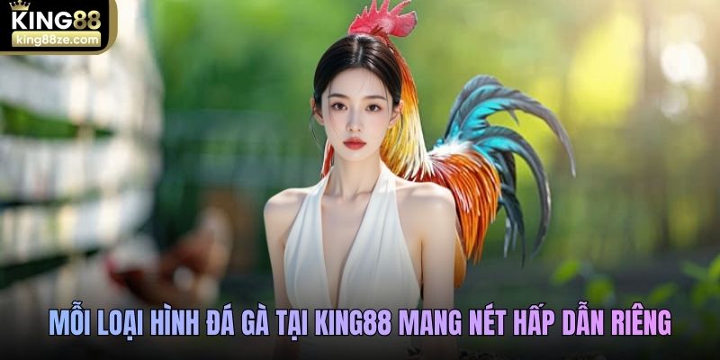 Mỗi loại hình đá gà tại King88 mang nét hấp dẫn riêng