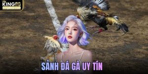 Sảnh Đá Gà Uy Tín