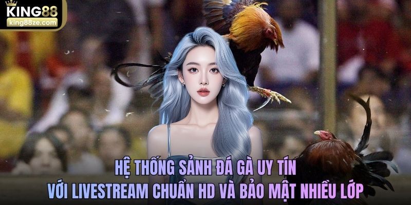 Hệ thống sảnh đá gà uy tín với livestream chuẩn HD và bảo mật nhiều lớp
